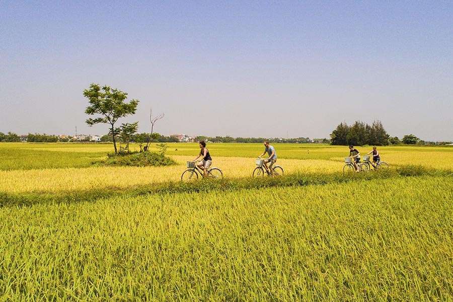 Cycling through the countryside - Hoi An day trips