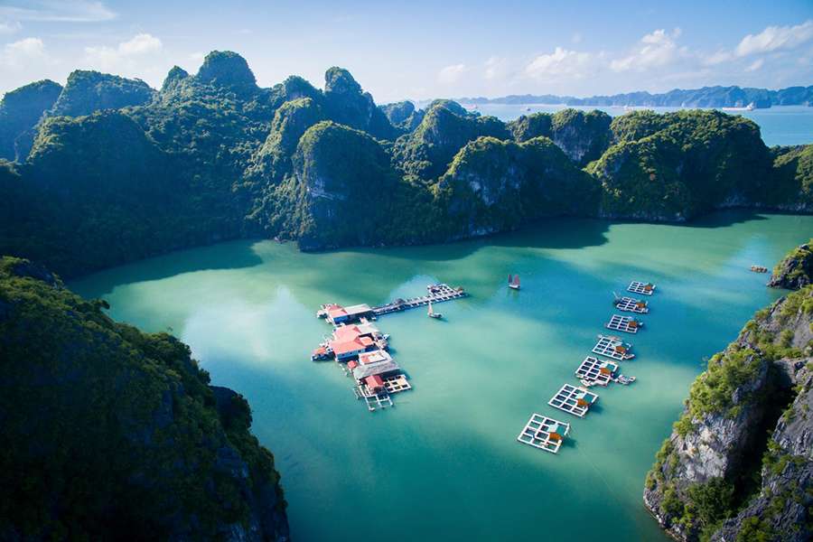 Photography Tours - Halong Bay shore excursions