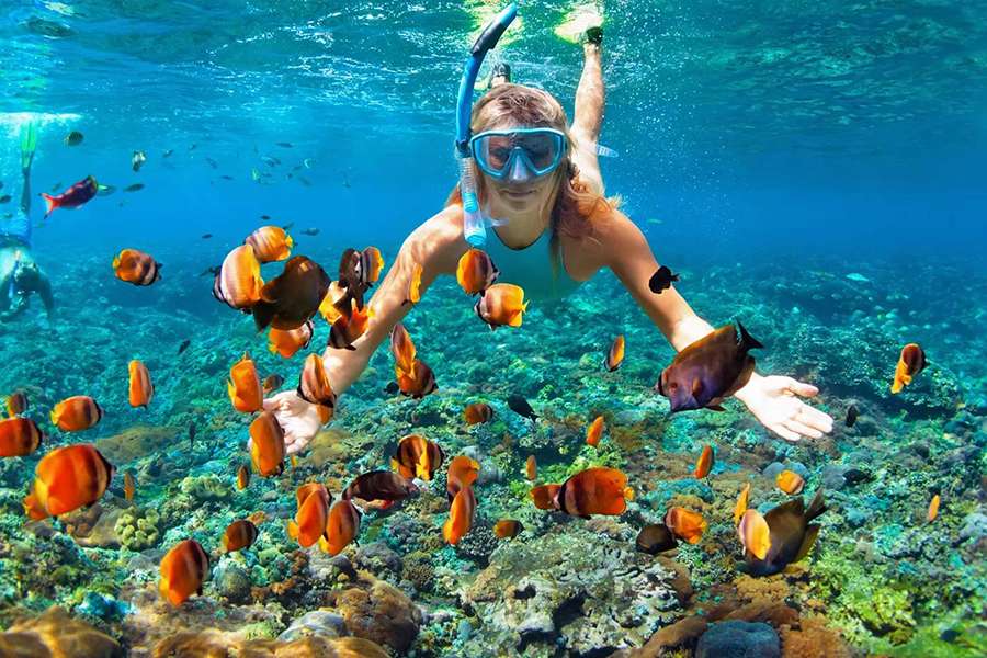 Snorkeling - Nha Trang shore excursions