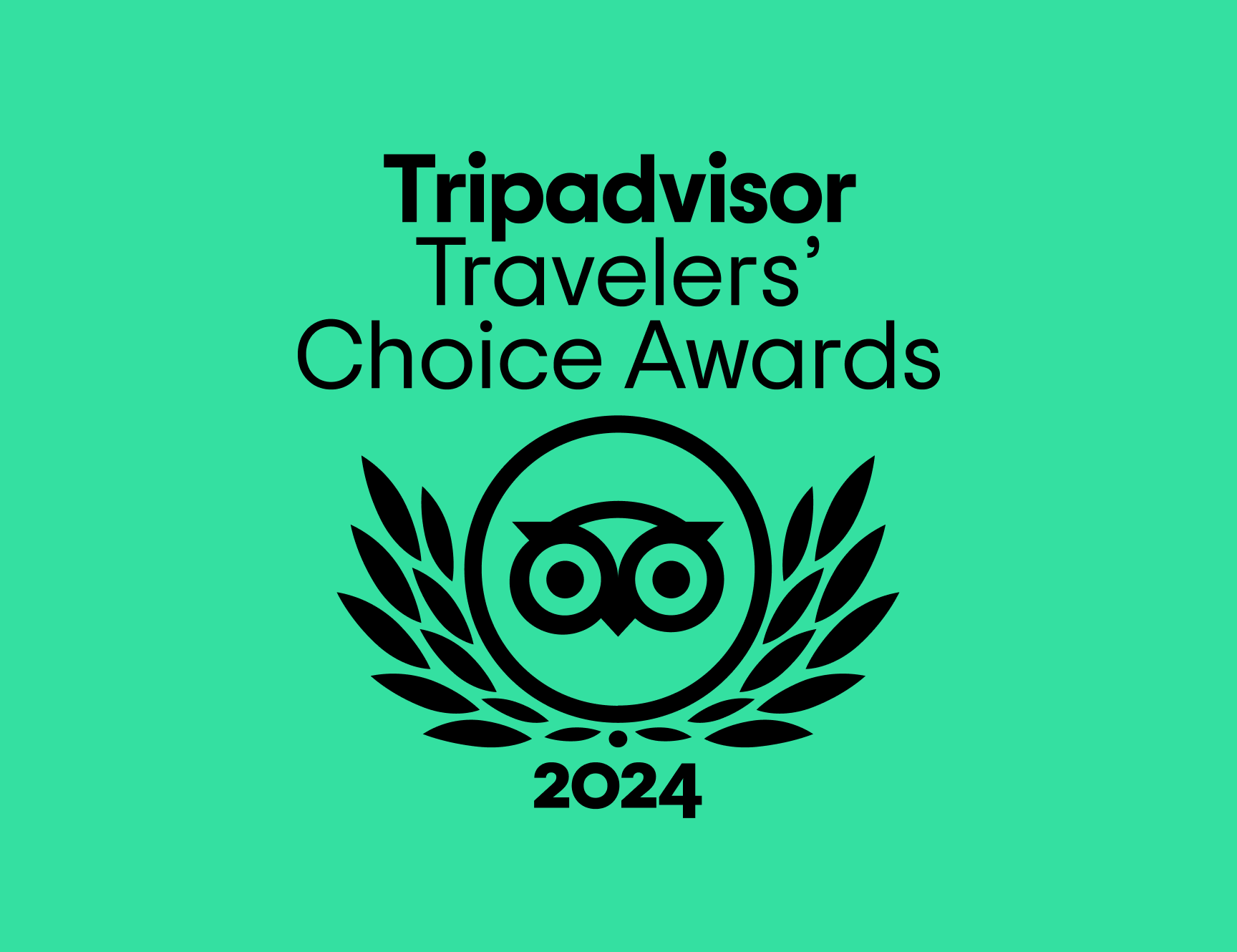 Vietnam Shore Excursions - Tripadvisor Award